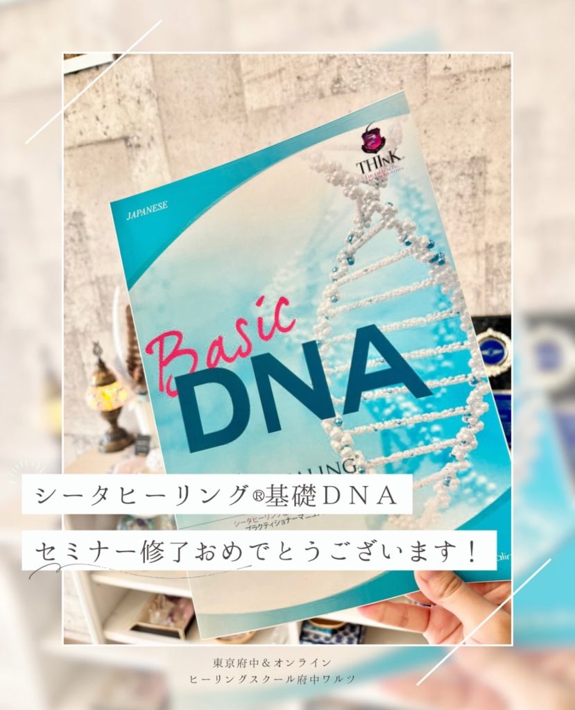 基礎DNAを開催しました