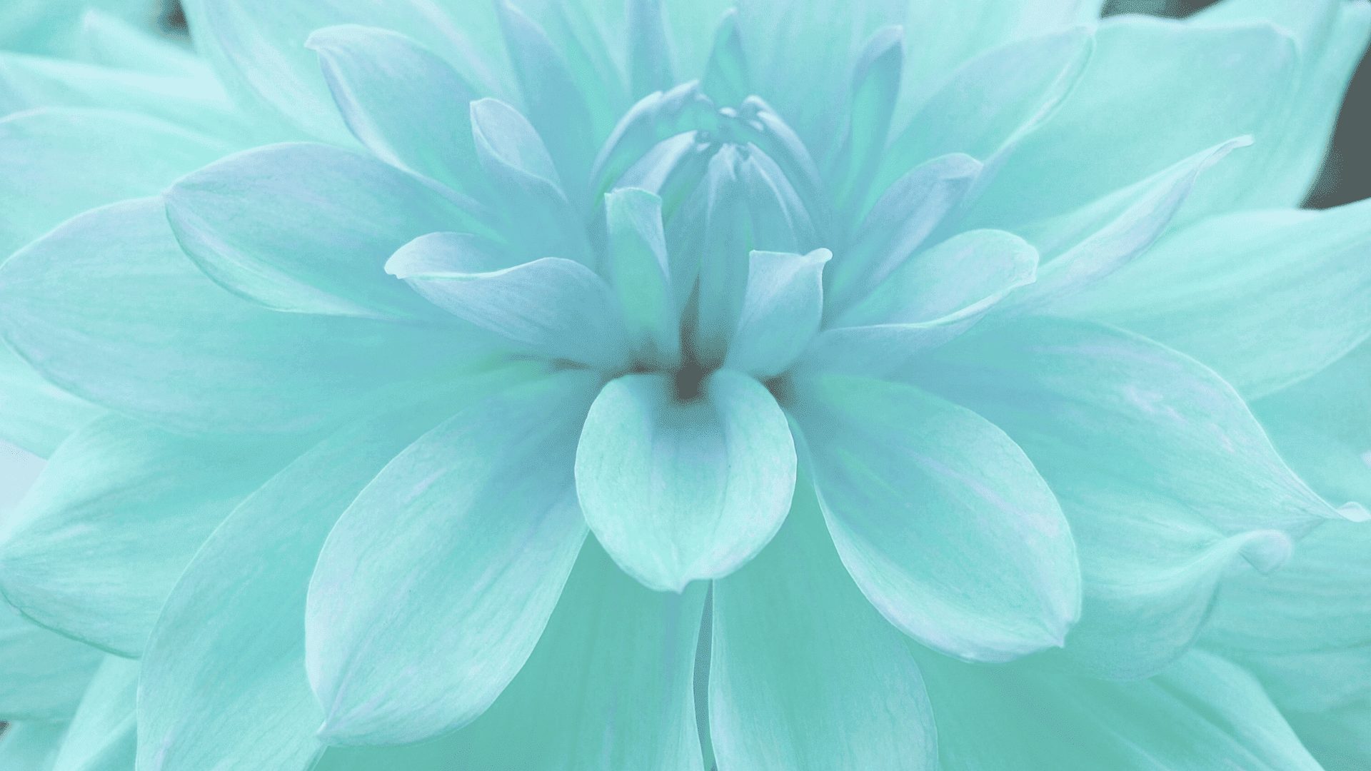 府中ワルツ 個人セッション